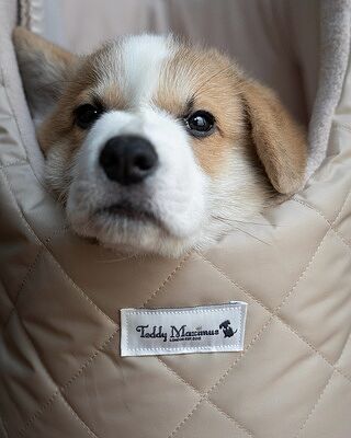 NEW! The Chelsea Champagne Quilted Dog Carrier