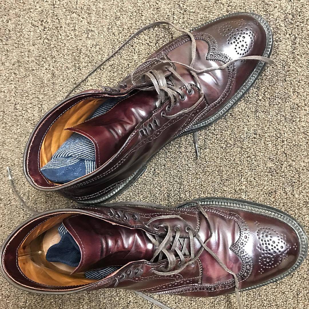 Alden shell cordovan wingtip 2024 boots