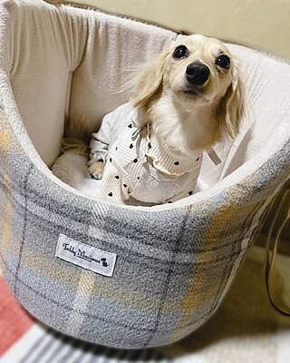 Sand Sheltie Luxury Dog Carrier