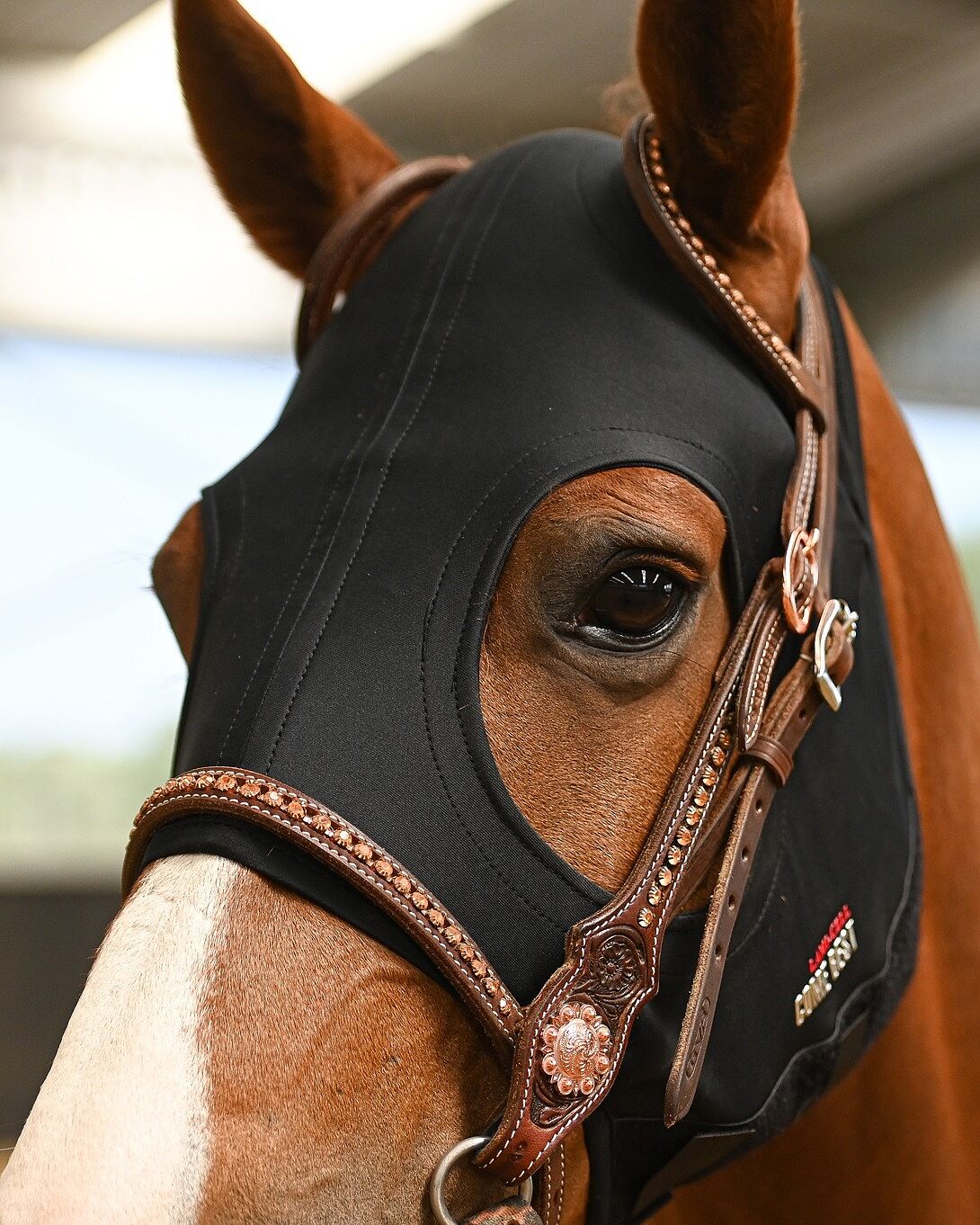 Guida Cinghia Al Miglior Prezzo | Leroy Merlin - Foto 5