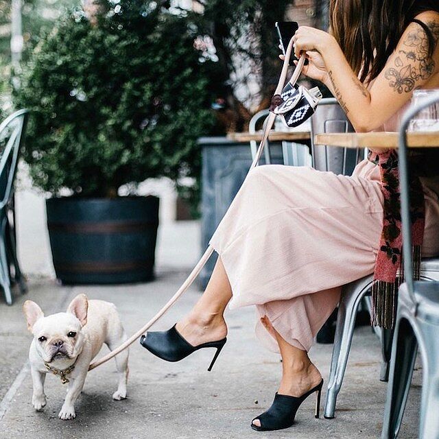 'The Rose' Pink Champagne Dog Lead