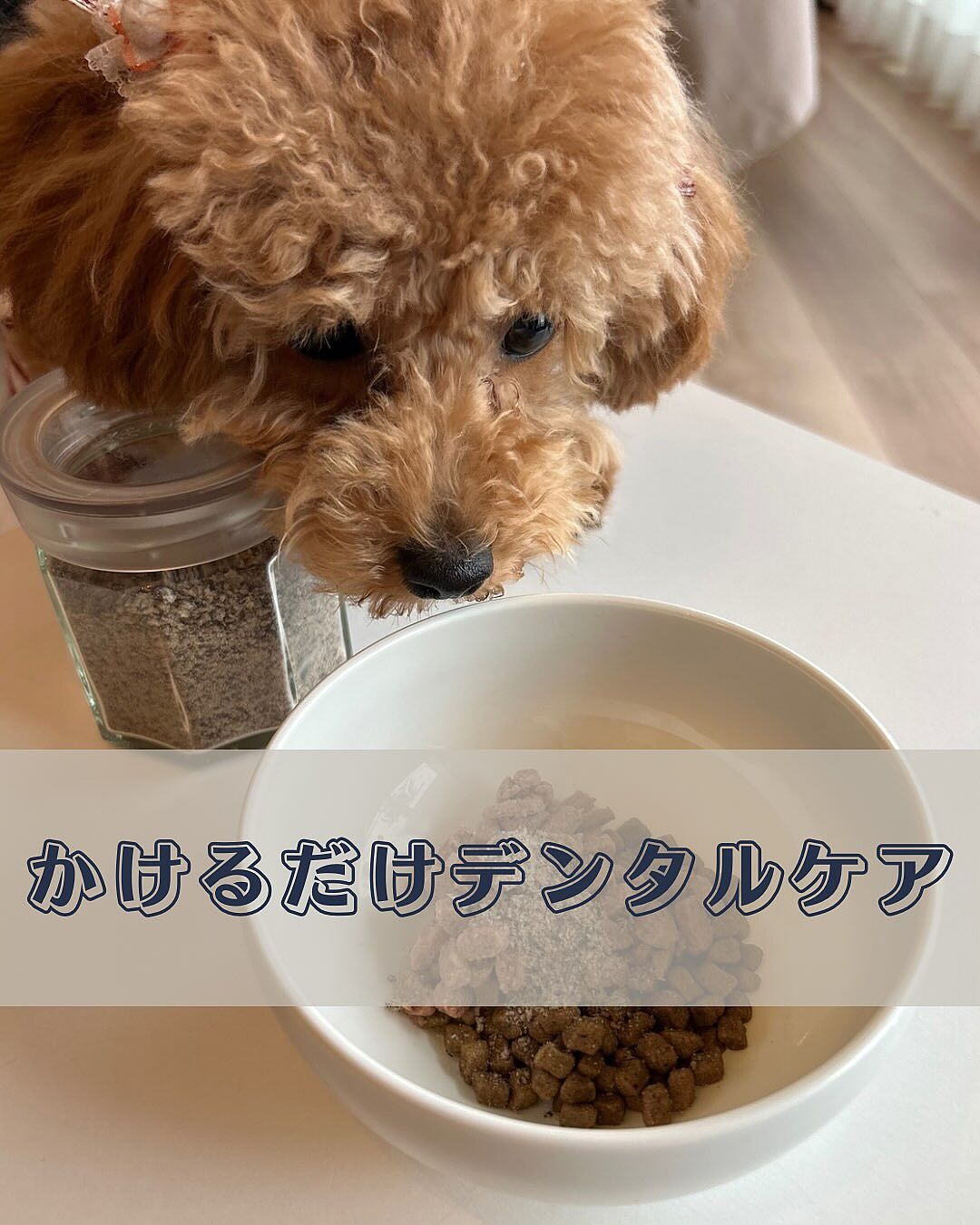 Dental Flakes for dogs 犬用デンタルフレーク-チーズ素材のフード