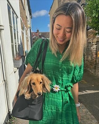 NEW! 'Totes Love You' Dog Carrier