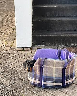 The Cambridge Adjustable Purple Taupe Soft Sided Luxury Dog Carrier