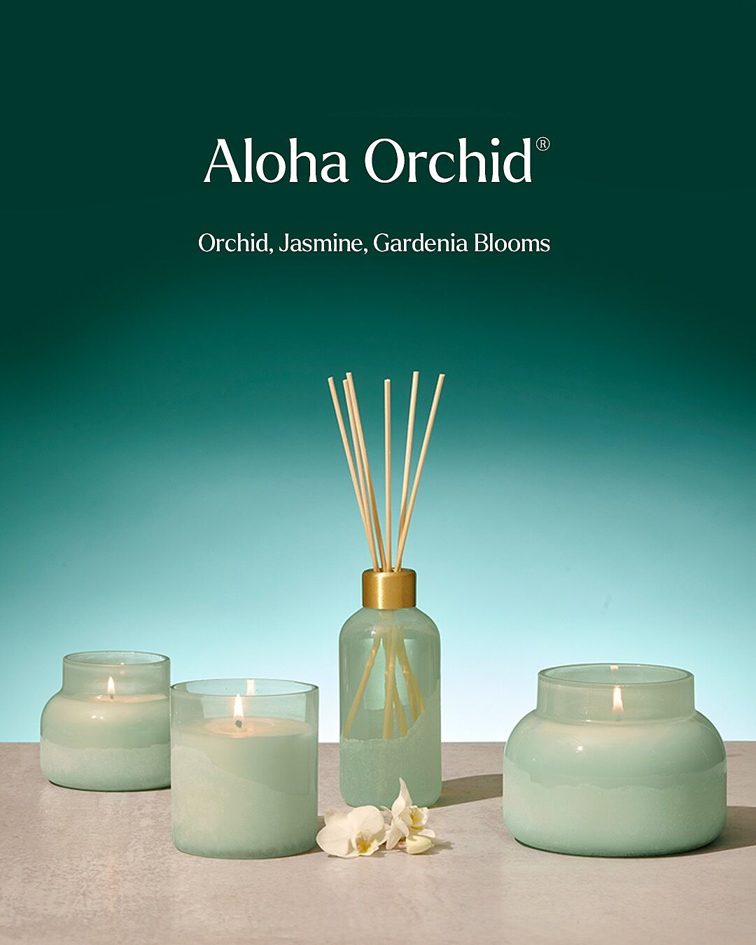 Aloha Orchid Signature Candle - Luce D'Amalfi | Capri Blue