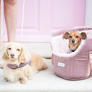 The 'Queen Bee' Dusky Pink Luxury Dog Carrier