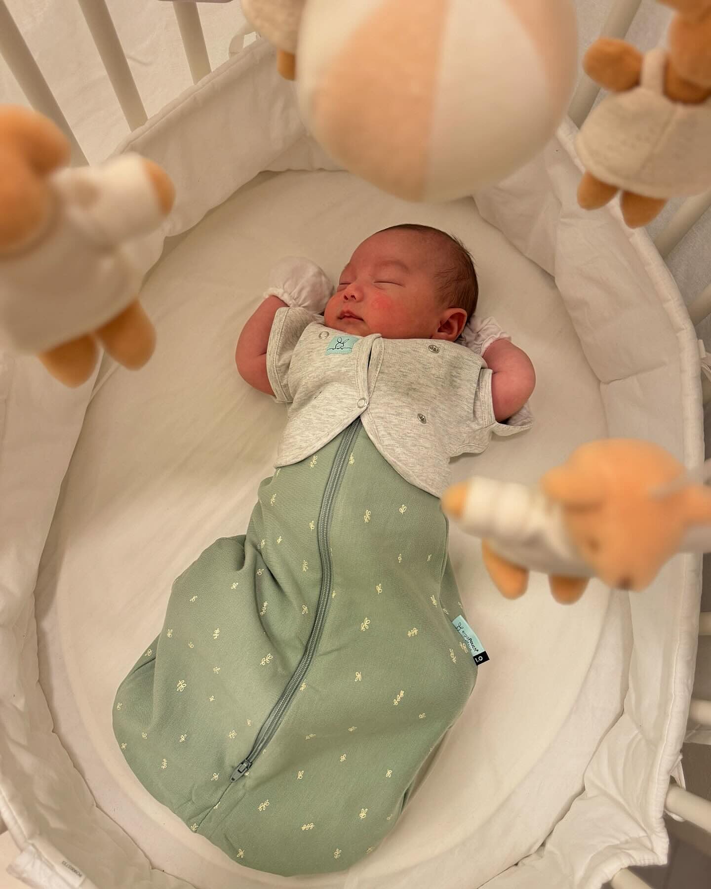 Cocoon Sleep set (1.0T Cocoon / 0.2T Cardi) 1.0 TOGコクーン