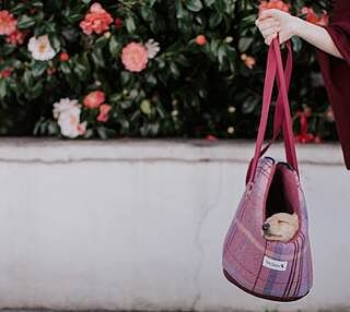 Pink Sheltie Luxury Dog Carrier