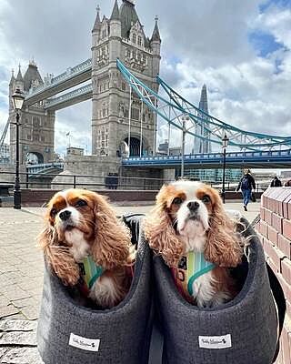 'The James' Charcoal Grey Luxury Dog Carrier