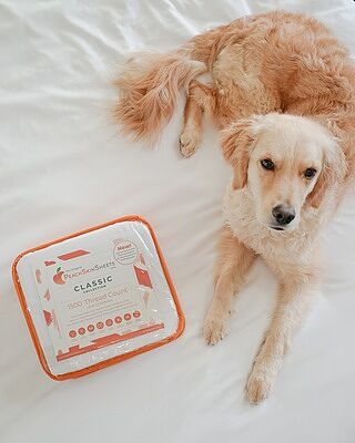 Classic White Sheet Set