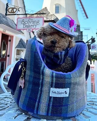 The Cambridge Adjustable Purple Taupe Soft Sided Luxury Dog Carrier