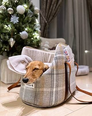 Sand Sheltie Luxury Dog Carrier