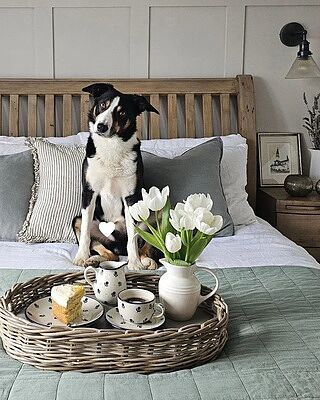 Brooklyn Glass Funnel Wall Light - 7 Inch