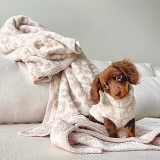 The CozyChic® Barefoot in the Wild® Throw | Barefoot Dreams®