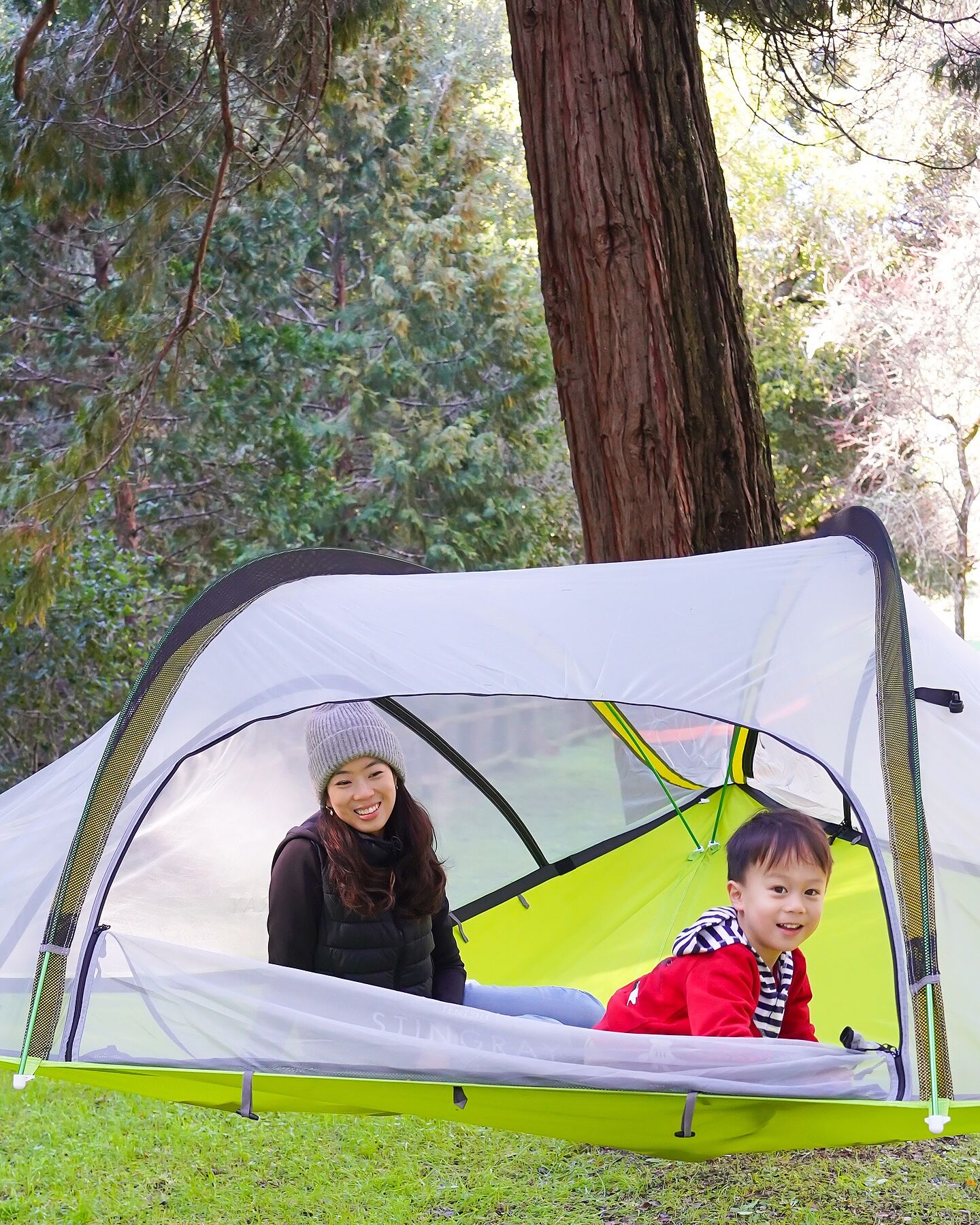 Safari Stingray 3-Person Tree Tent | Perfect for adventurous Safari Stingray 3-Person Tree Tent | Perfect for adventurous