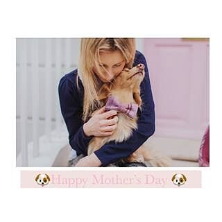 Pink Sheltie Dog Bow Tie