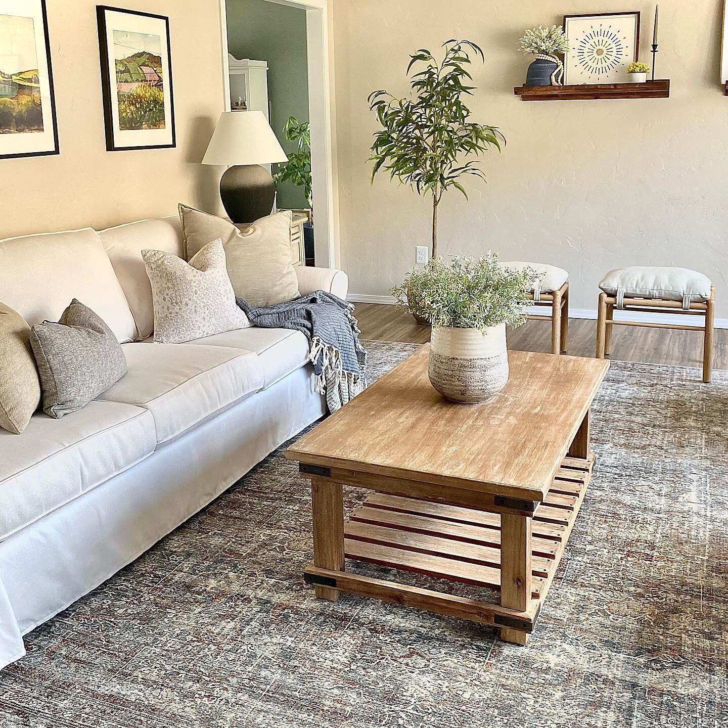 Rustic family store room furniture