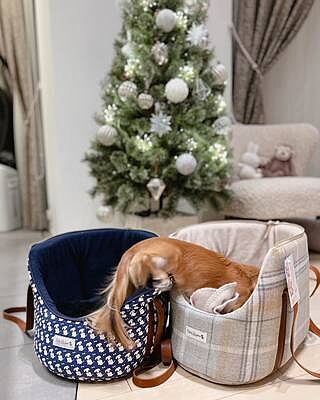 Sand Sheltie Luxury Dog Carrier