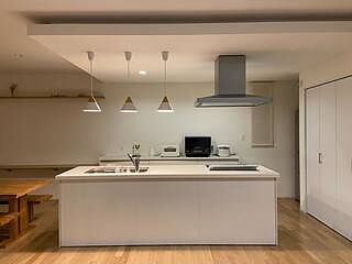 ペンダントライト GiGi little〔ジジ リトル〕