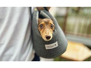 'The James' Charcoal Grey Luxury Dog Carrier