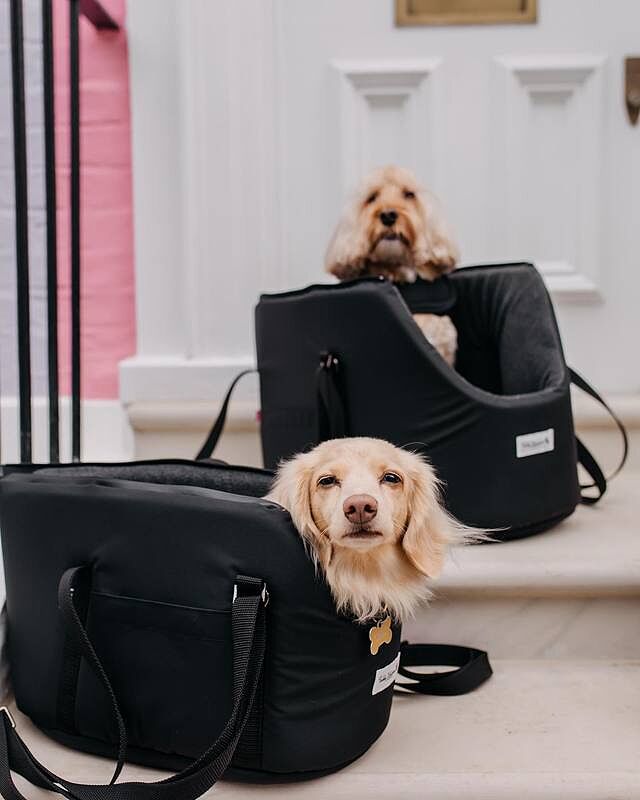 'The Adventurer' Waterproof Adjustable Luxury Dog Carrier