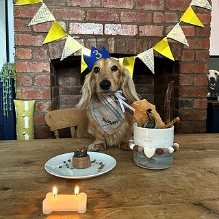 Sand Sheltie Plaid Neckerchief