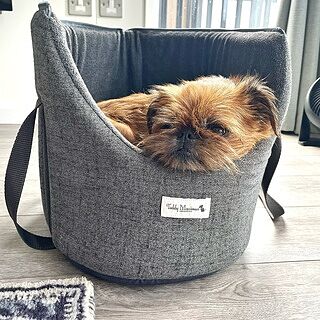 'The James' Charcoal Grey Luxury Dog Carrier