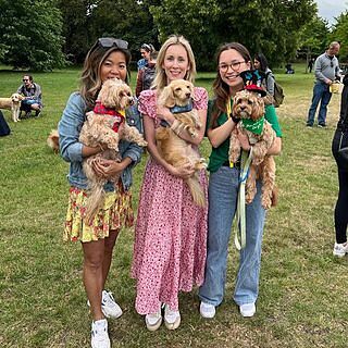 Cotswold Blue Luxury Dog Harness