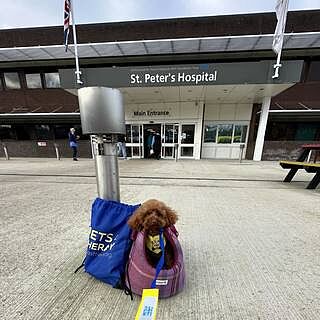 Pink Sheltie Adjustable Plaid Luxury Dog Carrier