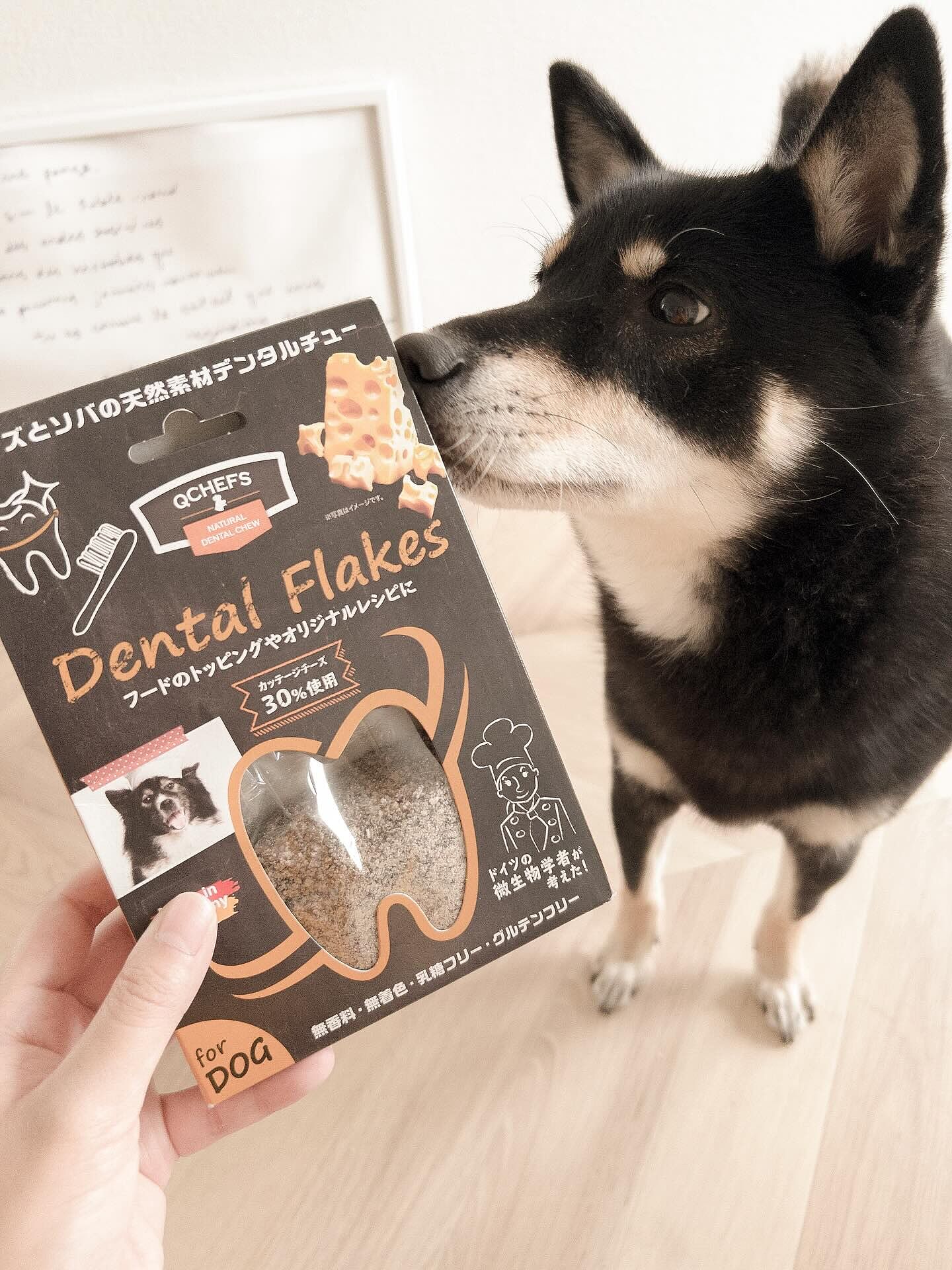 Dental Flakes for dogs 犬用デンタルフレーク-チーズ素材のフード