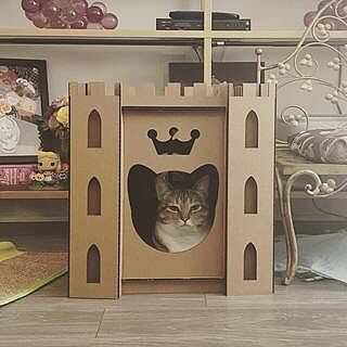 cat trees with built-in scratching posts Large Multi-Level Cat Tree with Condos & Scratching Posts
