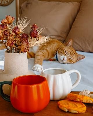 Classic White Sheet Set