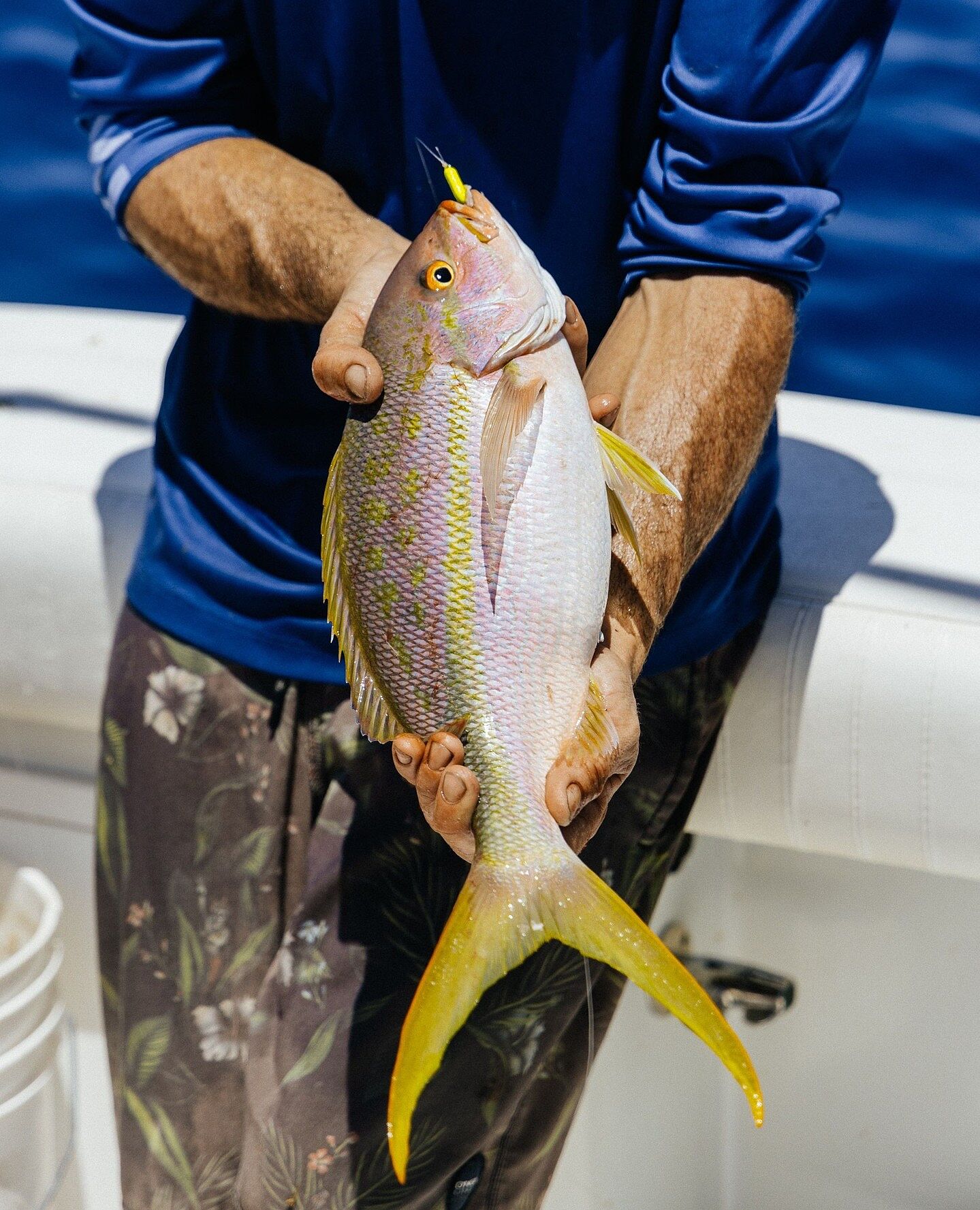 Mustad Fishing | Yellowtail Jig Head | Mustad Fishing