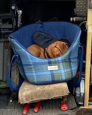 'The Cotswold Blue' Plaid Luxury Dog Carrier