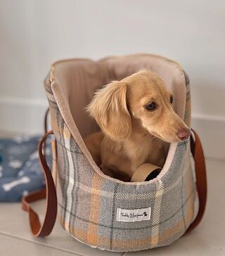 Sand Sheltie Luxury Dog Carrier