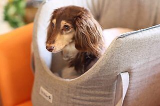 'The Marylebone' Light Grey Luxury Dog Carrier