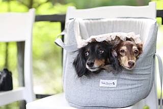 'The Marylebone' Light Grey Luxury Dog Carrier