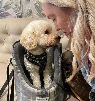 The Belgravia Adjustable Black Plaid Tweed Luxury Dog Carrier