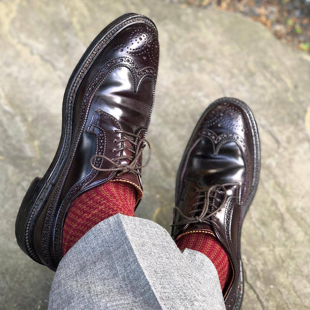 Alden 975 Cordovan Long Wing Blucher