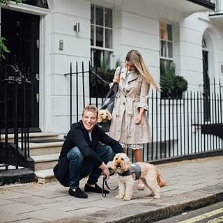 'The Louis' Luxe Grey Velvet Luxury Dog Carrier