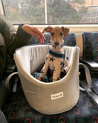 'The Marylebone' Light Grey Luxury Dog Carrier