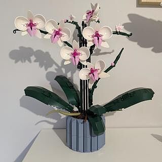 LEGO® Orchid