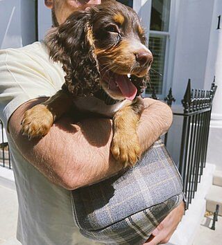 The Belgravia Adjustable Black Plaid Tweed Luxury Dog Carrier