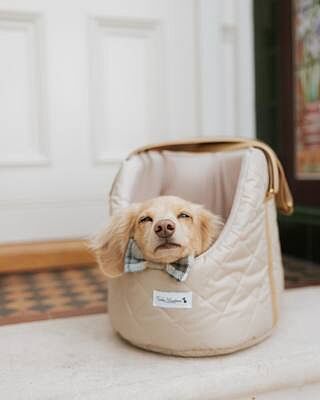 NEW! The Chelsea Champagne Quilted Dog Carrier