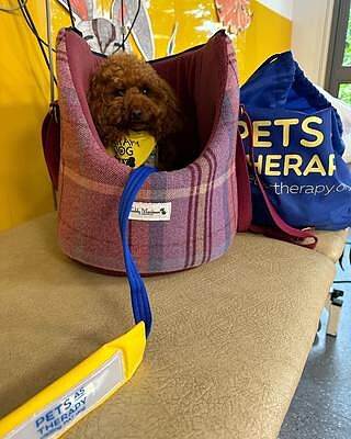 Pink Sheltie Adjustable Plaid Luxury Dog Carrier