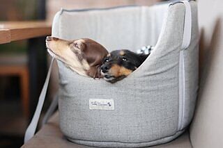 'The Marylebone' Light Grey Luxury Dog Carrier