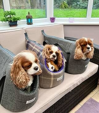 'The James' Charcoal Grey Luxury Dog Carrier