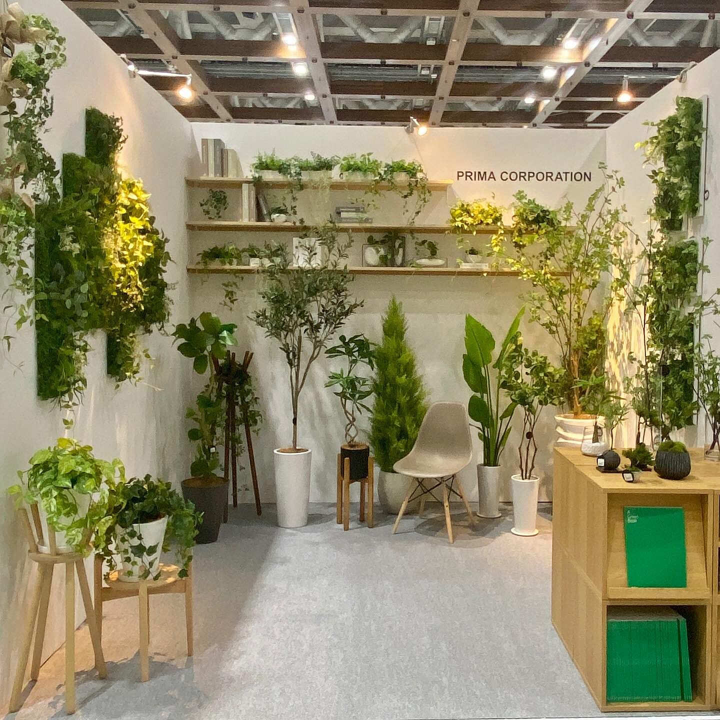 フィカスアルテシマの観葉植物 フェイクグリーン | 造花専門店プリマ