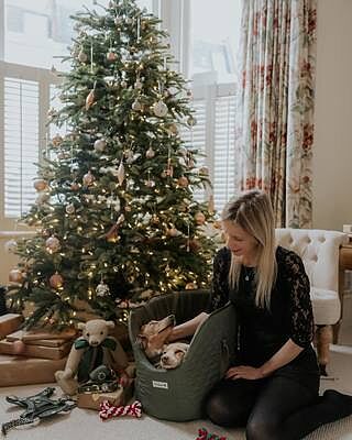 The Explorer NEW! Wipeproof Dog Lead