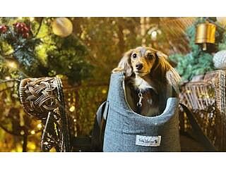 'The Marylebone' Light Grey Luxury Dog Carrier